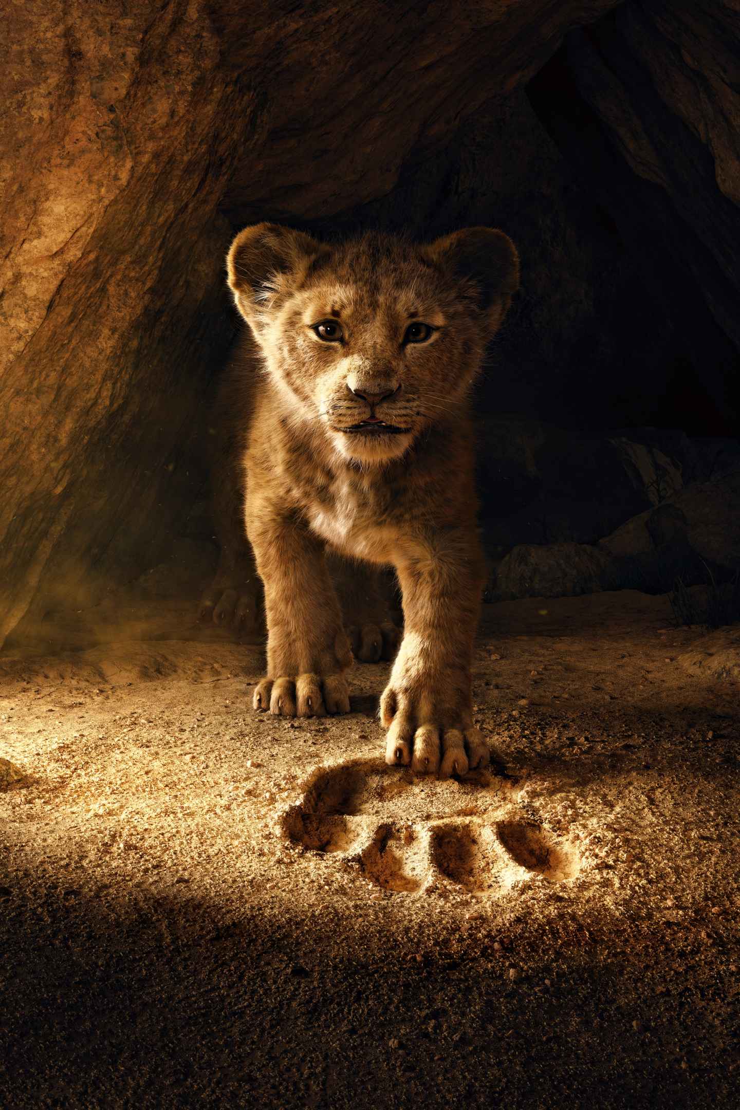  מלך האריות (2019)