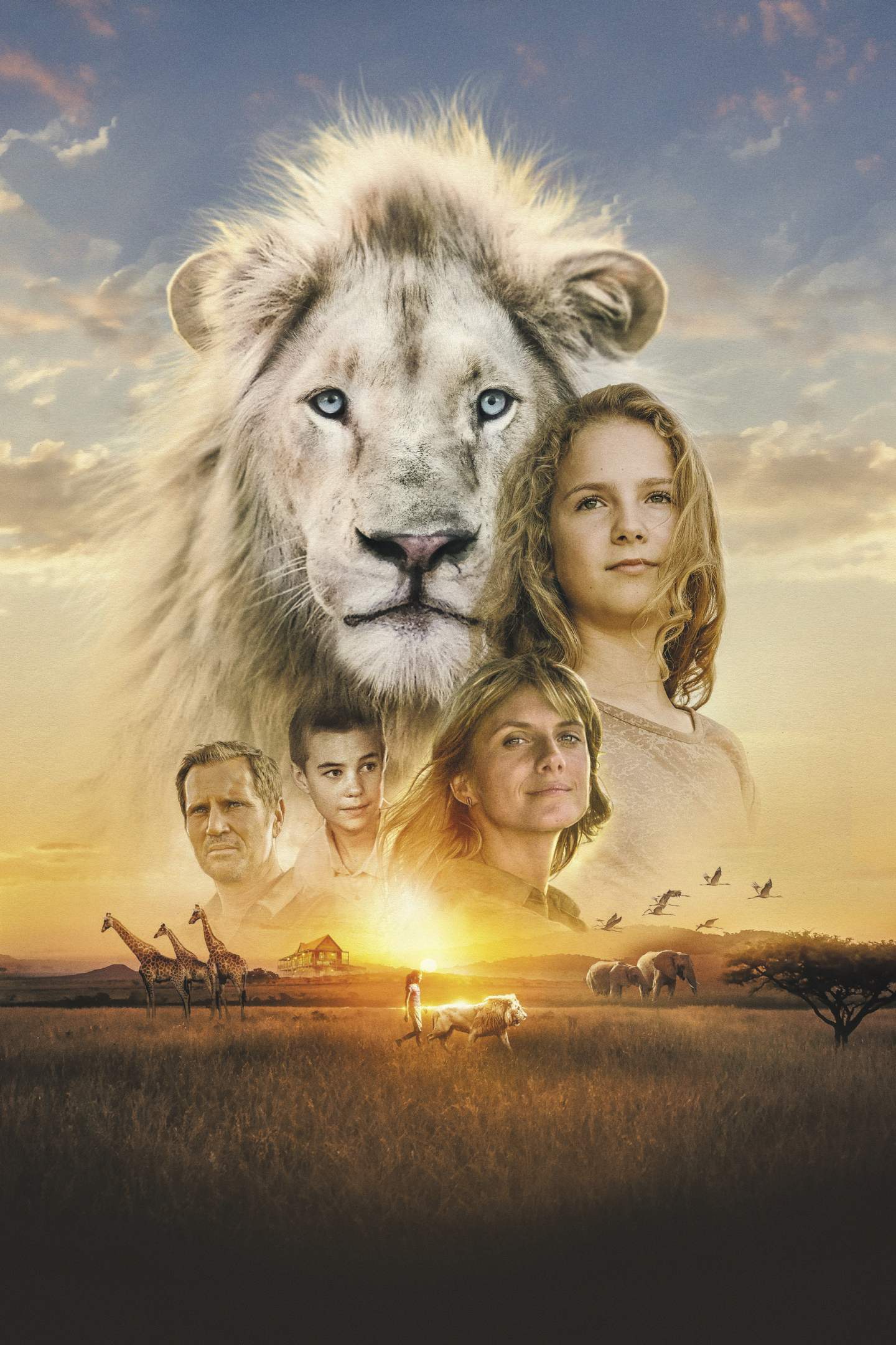  מיה והאריה הלבן
